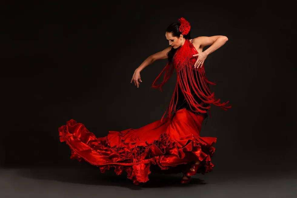 flamenco sevilla 6