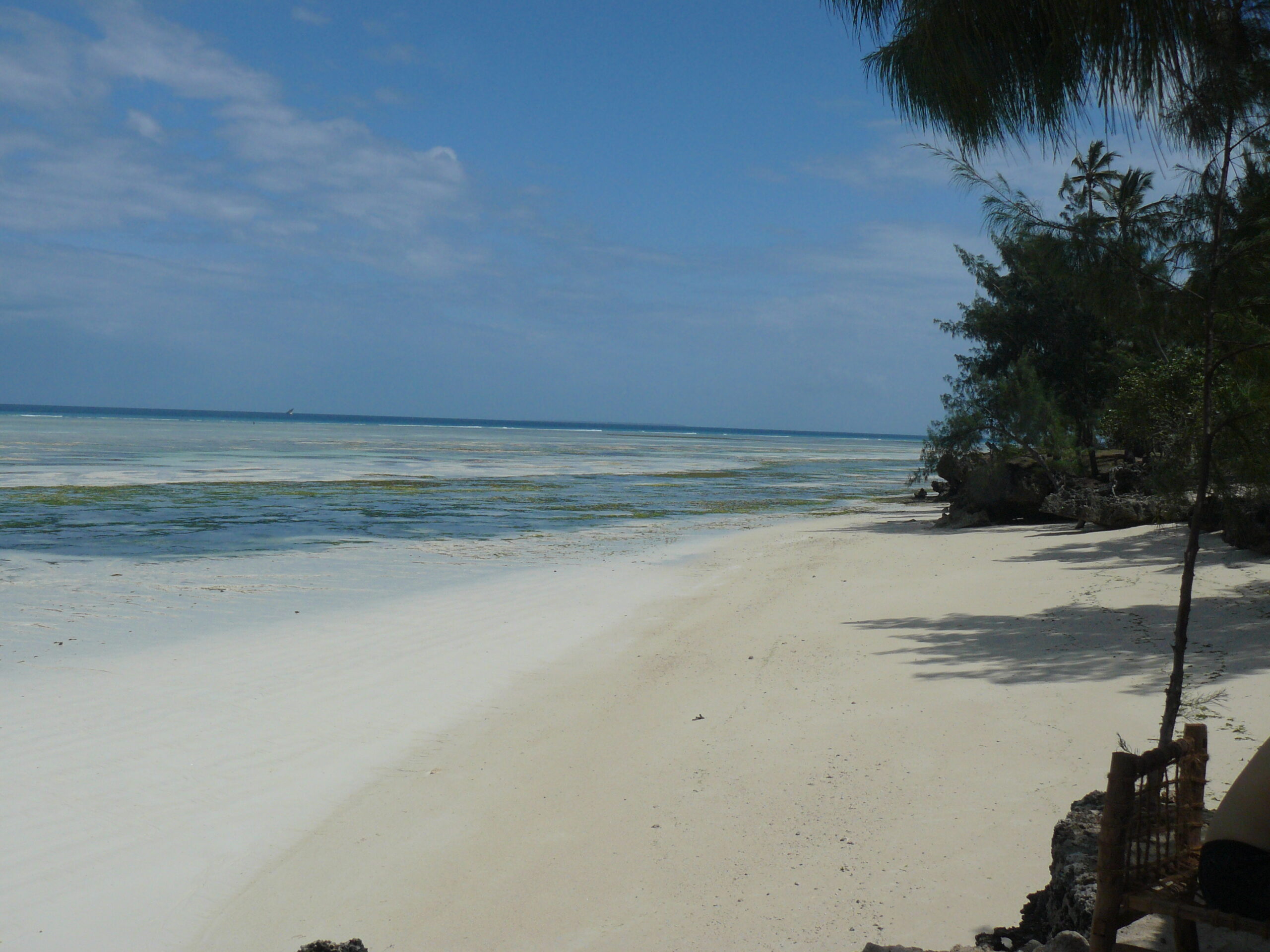 Lee más sobre el artículo Las mejores playas de Zanzíbar para disfrutar del sol y el mar