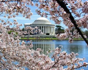 Lee más sobre el artículo Mejor época para visitar Washington DC y disfrutar al máximo
