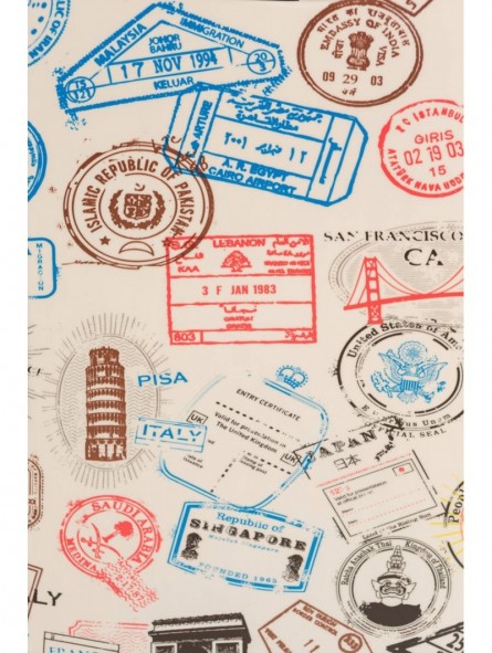 Maletas y pasaporte