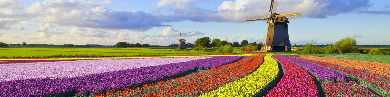 Ámsterdam, tulipanes y viajes